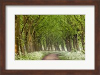 Framed Cow Parsley Curve