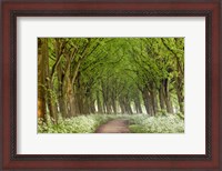 Framed Cow Parsley Curve