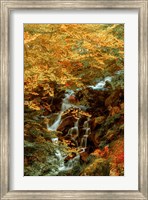 Framed Hidden Waterfall