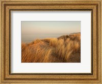 Framed Dunes with Seagulls 7
