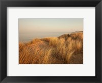 Framed Dunes with Seagulls 7