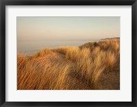 Framed Dunes with Seagulls 7