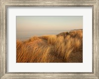 Framed Dunes with Seagulls 7