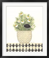 Framed Chamomile Humility