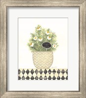 Framed Chamomile Humility