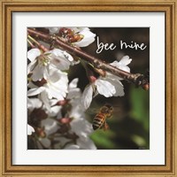 Framed Bee Mine