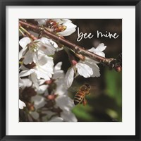 Framed Bee Mine