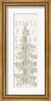 Framed Pine Types