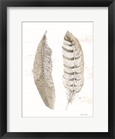 Feather II Framed Print