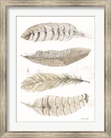Framed Feather Quad