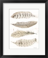 Framed Feather Quad