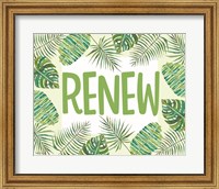 Framed Renew