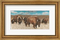 Framed Bison Herd I
