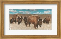 Framed Bison Herd I