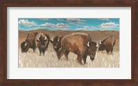 Framed Bison Herd I