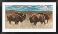 Framed Bison Herd II