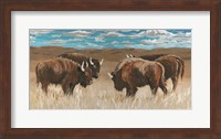 Framed Bison Herd II