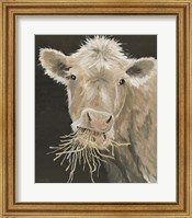 Framed Hangry Cow