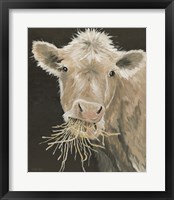 Framed Hangry Cow