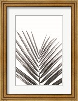Framed Leaf Study V