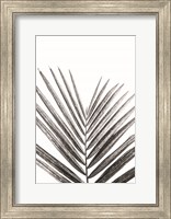 Framed Leaf Study V