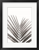 Framed Leaf Study V