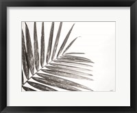 Framed Leaf Study VI