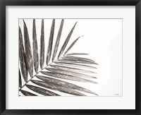 Framed Leaf Study VI