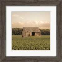Framed Rural Barn