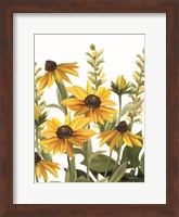 Framed Summer Susans