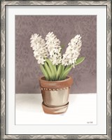 Framed House Hyacinth Plant