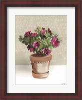 Framed House Begonia Plant
