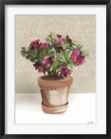 Framed House Begonia Plant