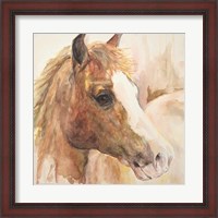 Framed Watercolor Horse