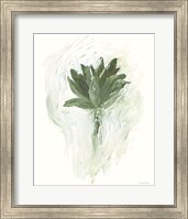 Framed Whole Bunch of Sage