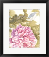 Warm Violet 2 Framed Print