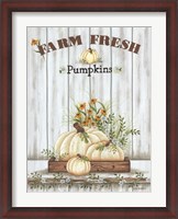 Framed Farm Fresh Pumpkin