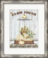 Framed Farm Fresh Pumpkin