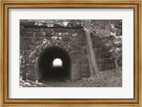 Framed Juniata Tunnel