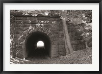 Framed Juniata Tunnel