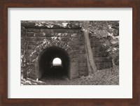 Framed Juniata Tunnel