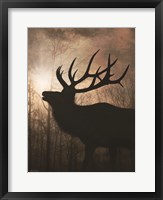 Framed Elk Sunrise II