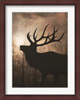 Framed Elk Sunrise II