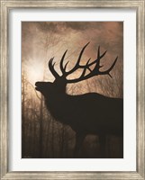 Framed Elk Sunrise II