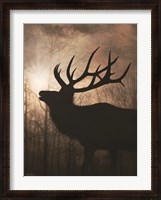 Framed Elk Sunrise II