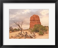 Framed Dusty Desert I