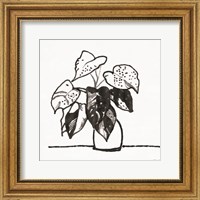 Framed Urn with Plant