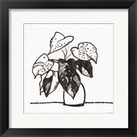 Framed Urn with Plant