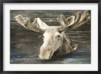 Framed Lake Moose
