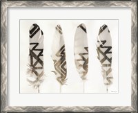 Framed Feathers 1